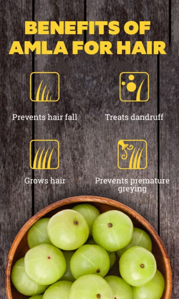 Benefits of amla for hair
