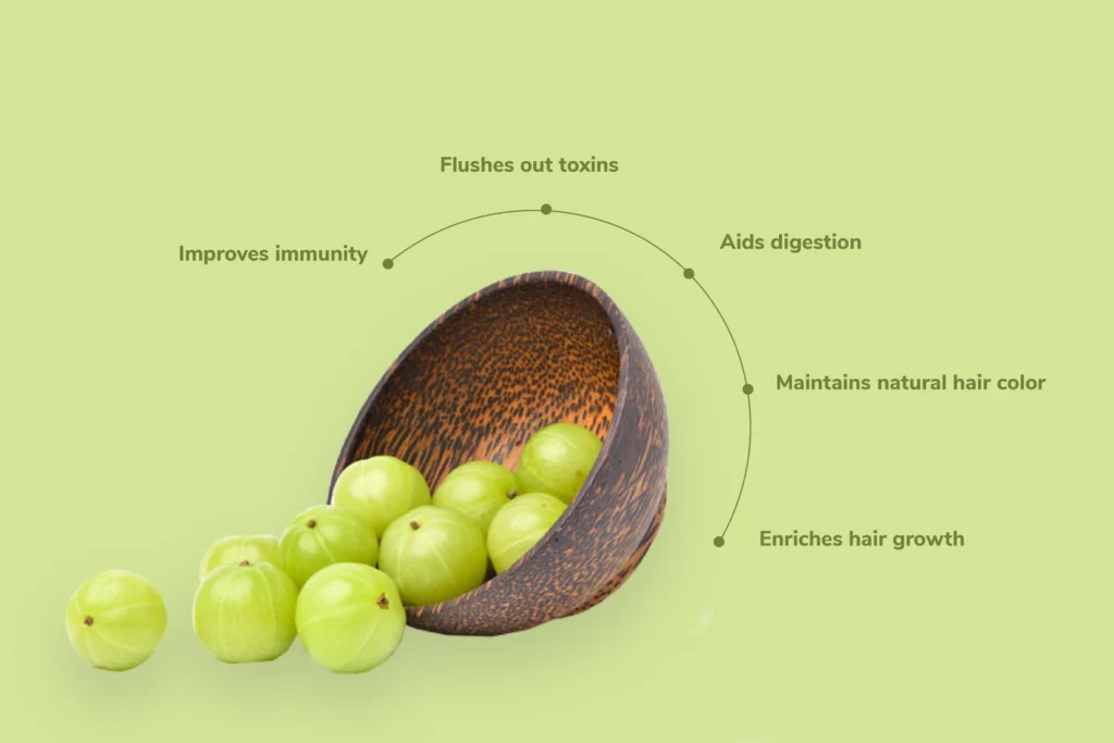 Healthy benefits of amla seeds
