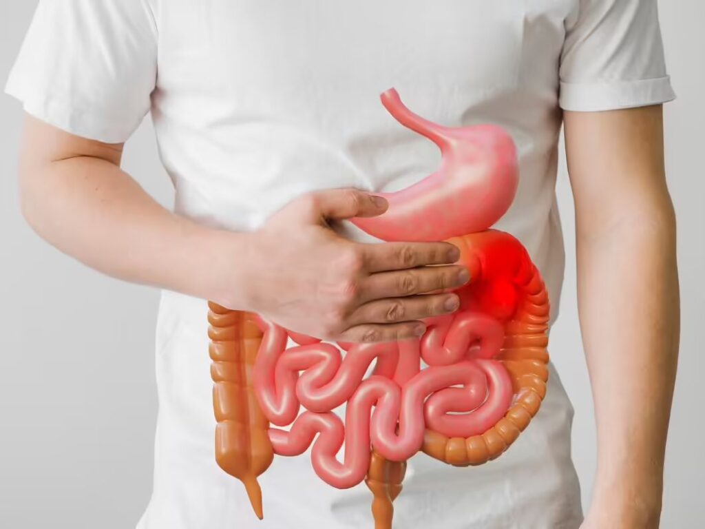 Impact of Roasted Chana on Digestive Health